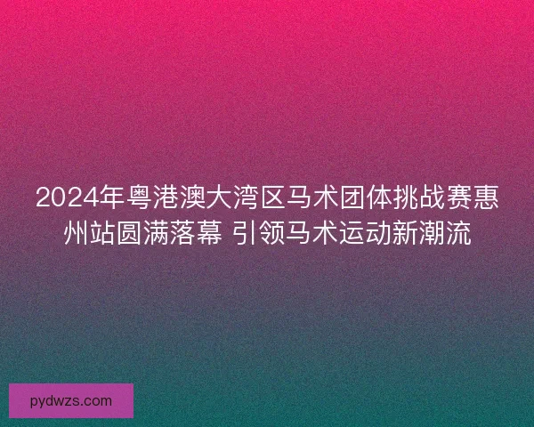 2024年粤港澳大湾区马术团体挑战赛惠州站圆满落幕 引领马术运动新潮流